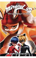 Miraculous: Tales of Ladybug and Cat Noir: Season Two - A New Hero Emerges