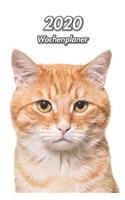 2020 Wochenplaner: Rote Getigerte Katze 107 Seiten, 15cm x 23cm ca. A5 Taschenkalender Terminplaner Tagebuch Terminkalender Organizer für Katzenliebhaber