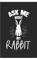 Ask me about my rabbit