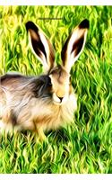 Rabbit Notebook