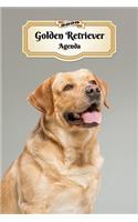 2020 Golden Retriever Agenda: 107 Pagine - Dimensioni DIN A5 - Pianificatore Settimanale - 12 Mesi - Due Pagine Per Settimana - Calendario - Diario - Cane