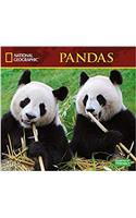 National Geographic Pandas 2018 Wall Calendar