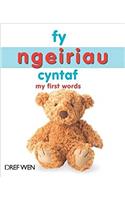 Fy Ngeiriau Cyntaf / My First Words