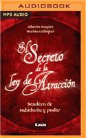 Secreto de la Ley de Atracción (Narración En Castellano)