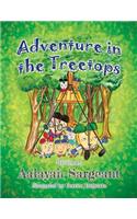 Adventure in the Treetops