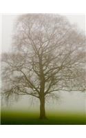 Tree Notebook