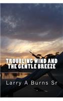Troubling Wind and the Gentle Breeze