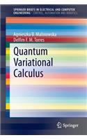 Quantum Variational Calculus