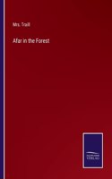 Afar in the Forest