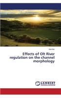 Effects of Olt River regulation on the channel morphology