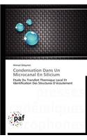 Condensation Dans Un Microcanal En Silicium