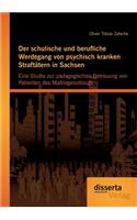 schulische und berufliche Werdegang von psychisch kranken Straftätern in Sachsen