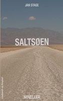 Saltsøen