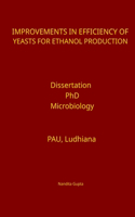 Improvements in Efficiency of Yeasts for Ethanol Production