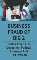 Business Fraud Of Big 2: Stories About Lies, Deception, Political Influence And Tax Evasion: Insurance Company Frauds