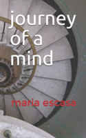 journey of a mind