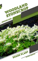 Woodland Stonecrop