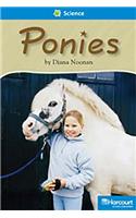 Storytown: On Level Reader Teacher's Guide Grade 2 Ponies