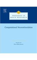 Computational Neurostimulation: Volume 222(Volume 222 Progress in Brain Research)
