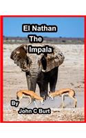 El Nathan The Impala.