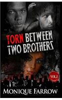 Torn Between Two Brothers Volume 1