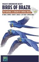 Wildlife Conservation Society Birds of Brazil