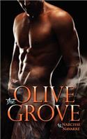 Olive Grove