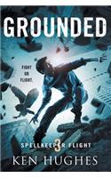 Grounded