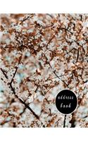 Address Book Large Print