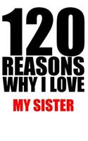 120 reasons why i love my sister