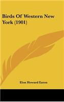 Birds Of Western New York (1901)