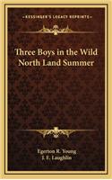 Three Boys in the Wild North Land Summer