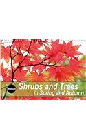 Shrubs and Trees in Spring and Autumn 2017: Blossoms and Berries of Shrubs and Trees.(Calvendo Nature)