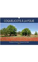 Coquelicots a La Folie 2017