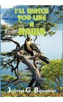 I'll Watch You Like a Hawk