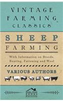 Sheep Farming - With Information on Breeds, Rearing, Fattening and Wool