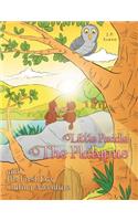 Little Paddle the Platypus and His First Day Outing Adventure: (English)