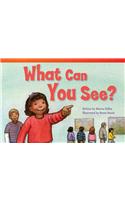 What Can You See?: (Fiction Readers)