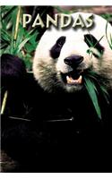 Pandas