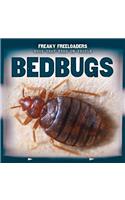 Bedbugs