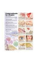 Understanding Allergies Anatomical Chart in Spanish (Entendiendo Las Alergias)