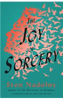 Joy of Sorcery