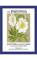 Genus Paeonia