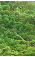 The Romance of Aderyn and Ior - An Epic Poem