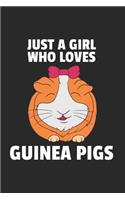 Meerschweinchen Notizbuch
