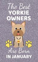 The Best Yorkie Owners Are Born In January