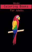 Birds Coloring Book For Adults
