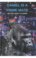 2020 / 2021 Two Year Weekly Planner For Daniel Name - Funny Gorilla Pun Appointment Book Gift - Two-Year Agenda Notebook
