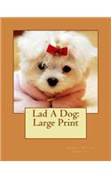 Lad A Dog: Large Print