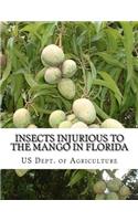 Insects Injurious To The Mango in Florida